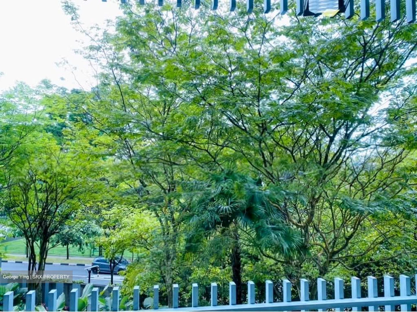 Hundred Trees (D5), Condominium #587227451